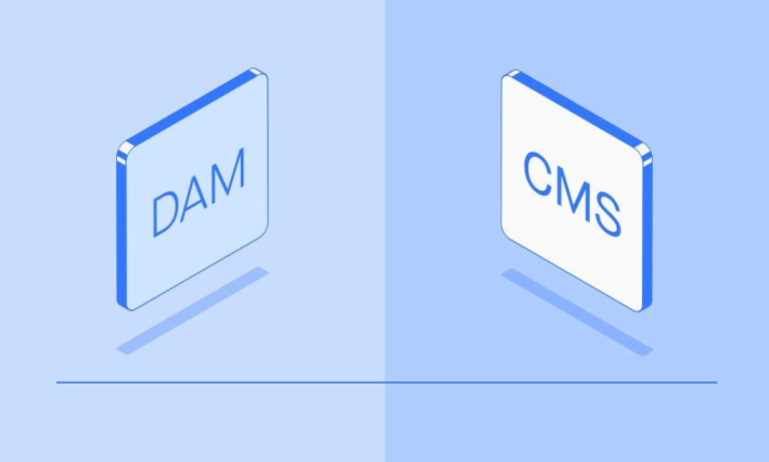 DAM vs. CMS: Do these Management Systems work better in Collaboration?