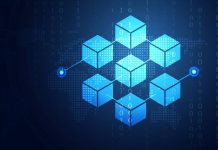 Unveiling the Types of Blockchain Networks