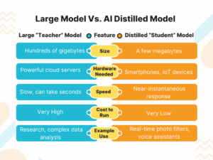 Difference Between Large Model and AI Distilled Model 