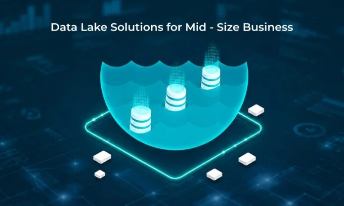 Data Lake Solutions for Mid-Size Business